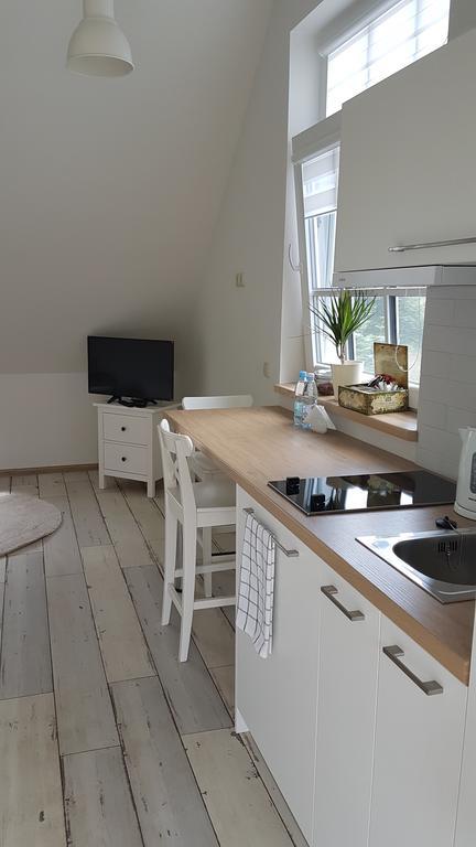 Inga Vacation House Druskininkai Ngoại thất bức ảnh